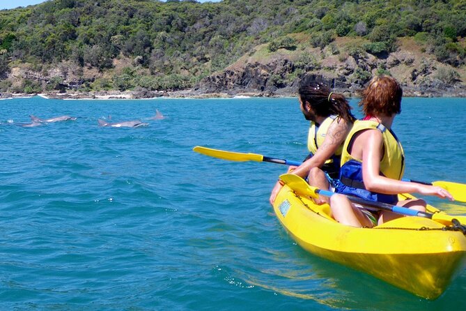Rainbow Beach: Dolphin & Wildlife Ocean Kayak & Beach 4WD Tour - The beach 4WD ride to Double Island Point