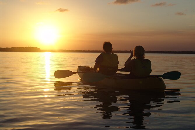 Rainbow Beach: Dolphin & Wildlife Ocean Kayak & Beach 4WD Tour - What the kayaking feels like for beginners