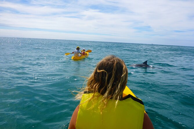 Rainbow Beach: Dolphin & Wildlife Ocean Kayak & Beach 4WD Tour - Your best chance of seeing dolphins and whales