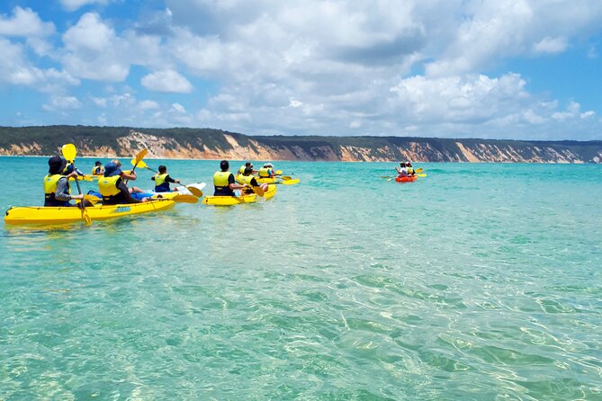 Rainbow Beach: Dolphin & Wildlife Ocean Kayak & Beach 4WD Tour - Who should book this outing