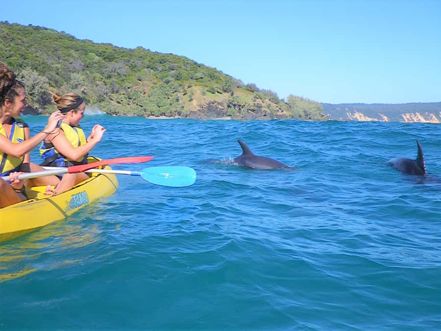 Rainbow Beach: Kayaking with Dolphins and Beach 4WD Tour - Key points to know before booking