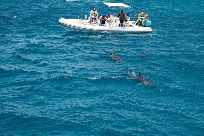 Red Sea Wonders Dolphin House Snorkeling Cruise & Lunch_ Hurghada - Who will enjoy this Hurghada cruise most