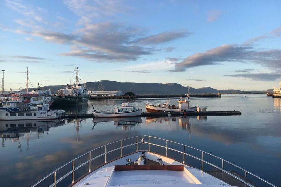 Reykjavik: Whale Watching and Dolphin Watching Yacht Cruise - Choosing between MY Harpa and MY Amelia Rose