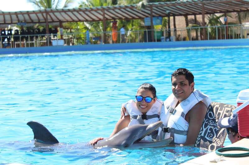 Riviera Maya: Dolphin Encounter with Beach Club Access - What the $109 experience actually includes