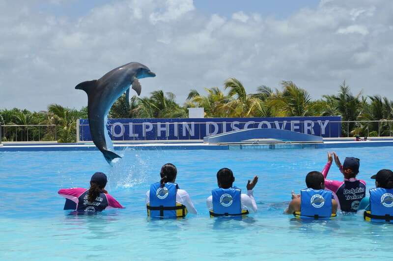 Riviera Maya: Dolphin Encounter with Beach Club Access - The 15-minute briefing before entering the water
