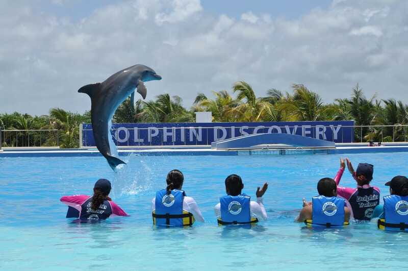 Riviera Maya: Dolphin Encounter with Beach Club Access - Thirty minutes of contact on an underwater platform