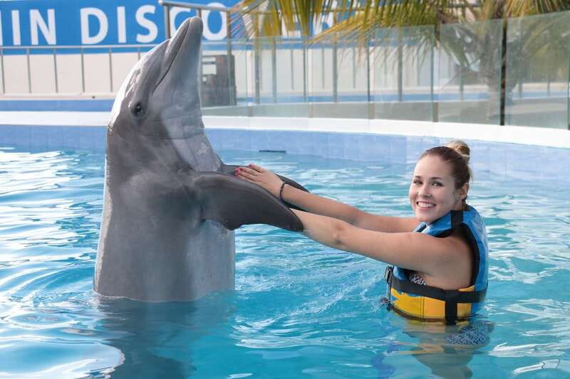 Riviera Maya: Dolphin Encounter with Beach Club Access - Who will enjoy this most