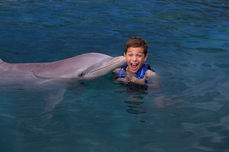 Riviera Maya: Swim with dolphins Interax - Key details before you book