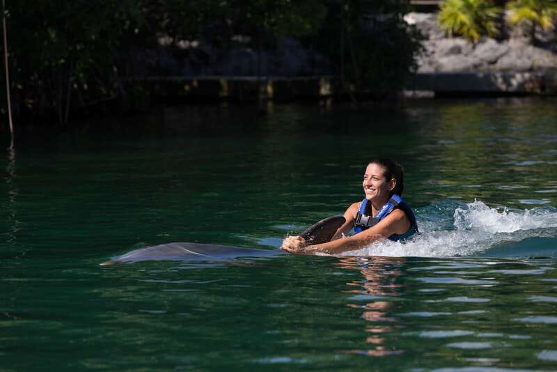 Riviera Maya: Swim with dolphins Interax - Meeting the dolphins beside Xcaret Park