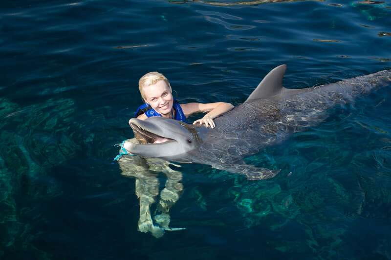 Riviera Maya: Swim with dolphins Interax - Why the small group makes a difference