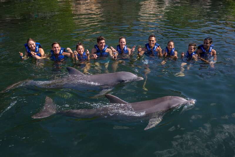 Riviera Maya: Swim with dolphins Interax - What you learn about dolphin behavior