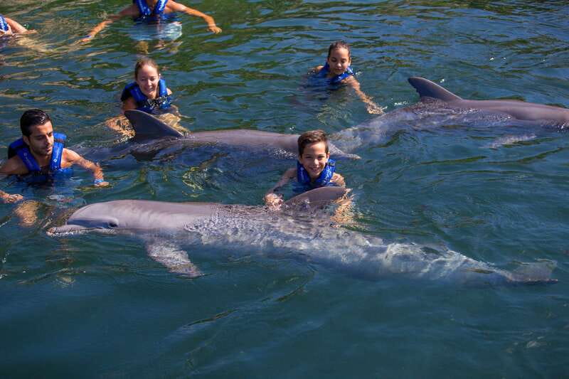 Riviera Maya: Swim with dolphins Interax - What to bring and what stays behind