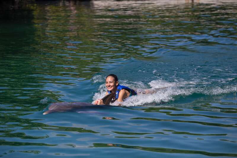 Riviera Maya: Swim with dolphins Interax - Is $138 a fair price?