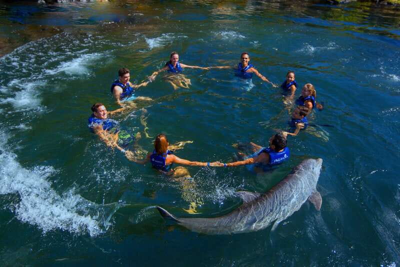 Riviera Maya: Swim with dolphins Interax - What past experiences tell you about the visit