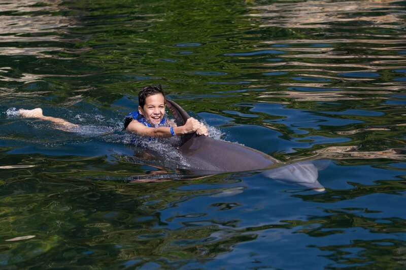 Riviera Maya: Swim with dolphins Interax - Who will enjoy this dolphin swim most?