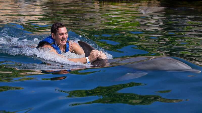Riviera Maya: Swim with dolphins Interax - What happens during the 30-minute water session