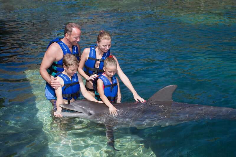 Riviera Maya: Swim with dolphins Primax - Who Should Book This Dolphin Experience?