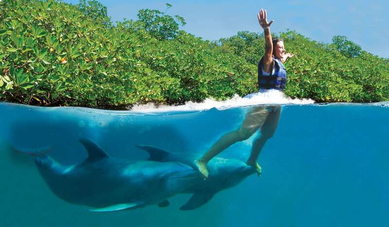 Riviera Maya: Swim with dolphins Primax - Meeting Beside Xcaret Park