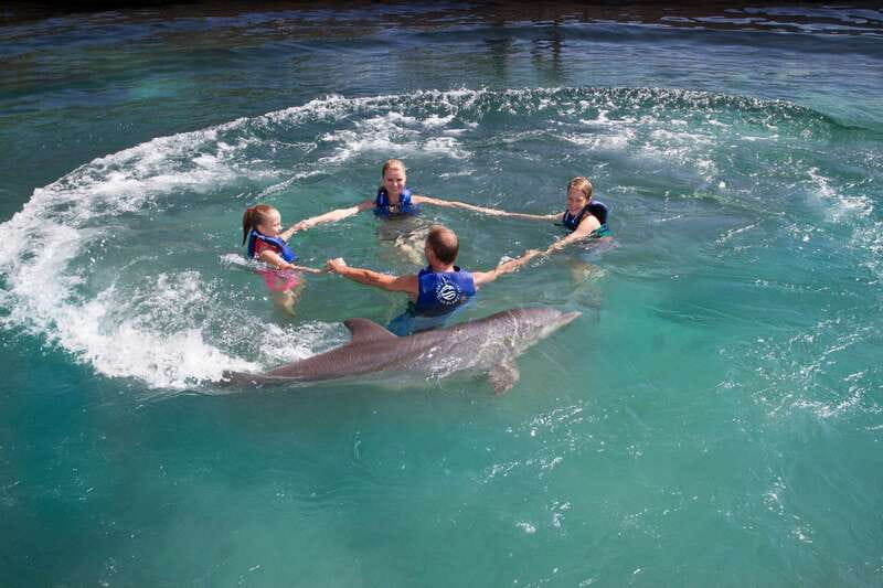 Riviera Maya: Swim with dolphins Primax - Forty-Five Minutes in the Water, Then Snorkeling