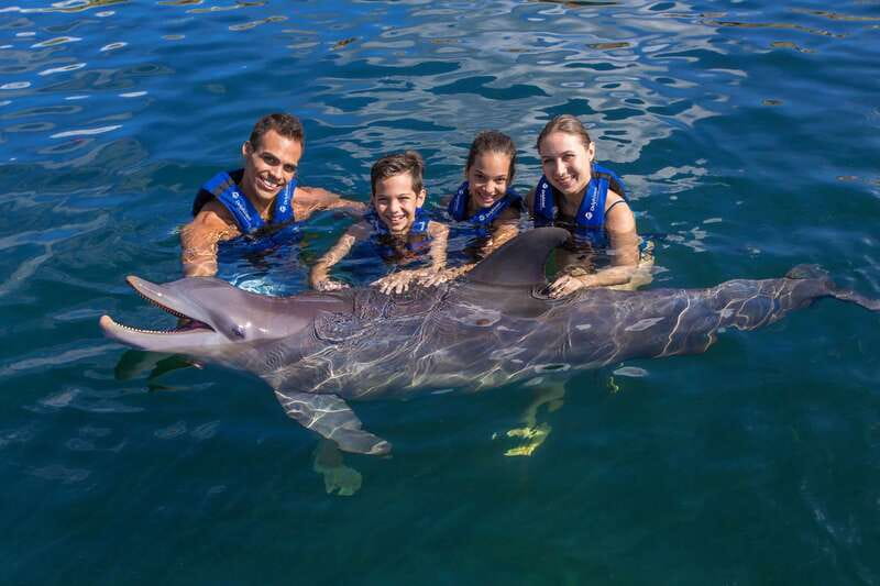 Riviera Maya: Swim with dolphins Primax - A Small Group Makes the Difference