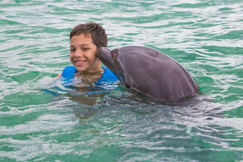 Riviera Maya: Swimming Experience with Dolphins - The Photo Policy Can Change Your Budget