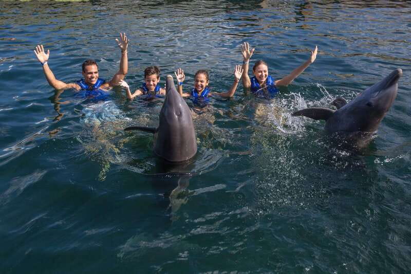 Riviera Maya: Swimming Experience with Dolphins - Booking Flexibility and Practical Timing