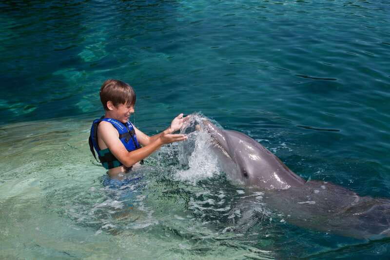 Riviera Maya: Swimming Experience with Dolphins - Why the Small Group Size Matters