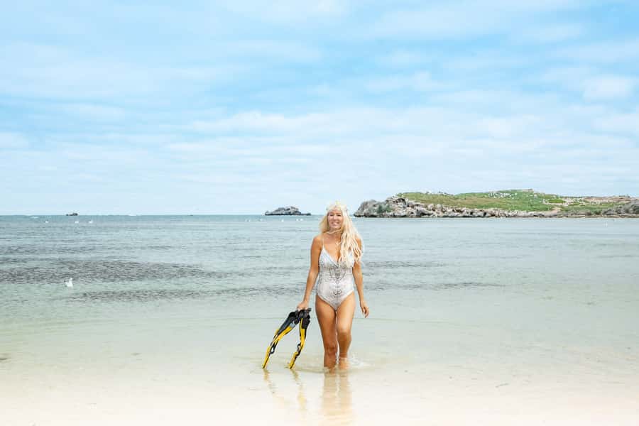 Rockingham: Shoalwater Islands, Dolphins, and Sea Lions Tour - Who Should Book This Experience?