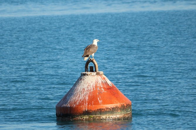 Roebuck Bay Sunset & Snubfin Dolphin Cruise - The 3:00 pm departure and three-hour route