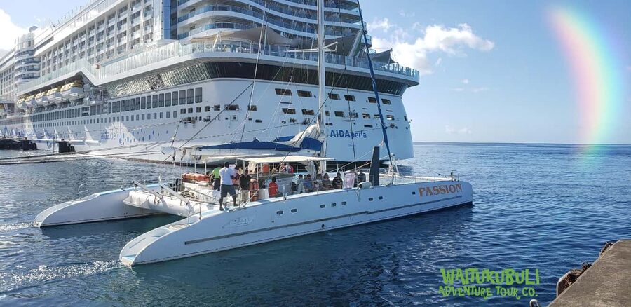 Roseau: Guided Dolphin and Whale Watching Tour With Drinks - Should you book it?