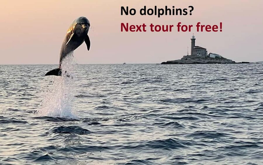 Rovinj: Dolphin Watching Sunset Speedboat Tour with Drinks - Setting out from Rovinj’s waterfront