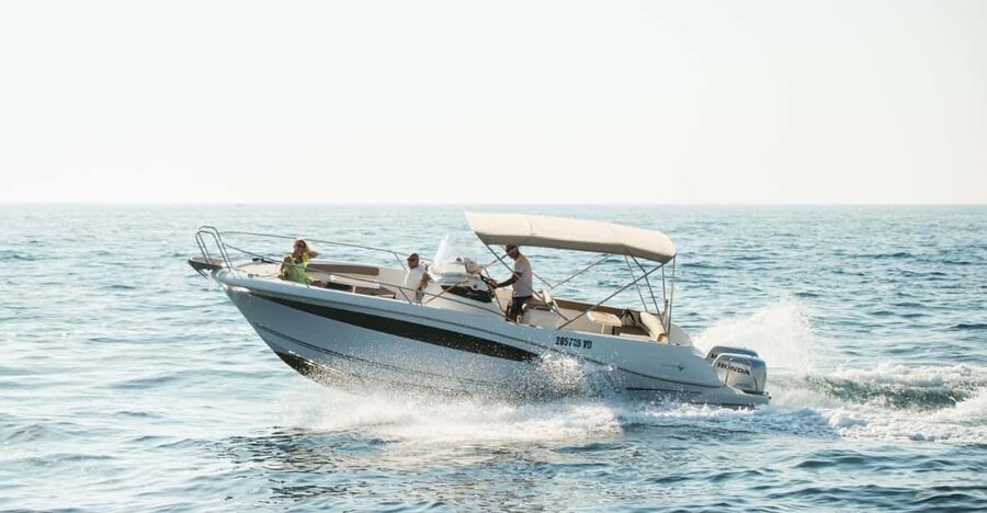 Rovinj: Family Friendly Dolphin Watching Tour - Key points before you book