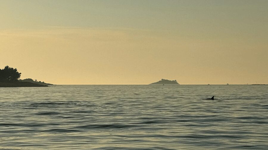 Rovinj: Family Friendly Dolphin Watching Tour - Sunset views, photos, and the practical side of the boat