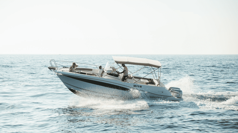 Rovinj: Family Friendly Dolphin Watching Tour - How the stops and return work