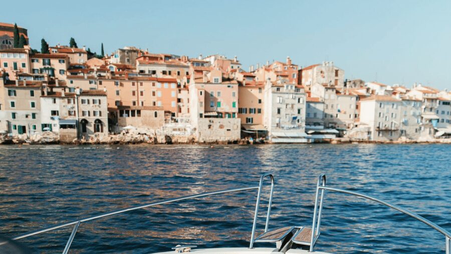Rovinj: Family Friendly Dolphin Watching Tour - My verdict: book it with realistic expectations