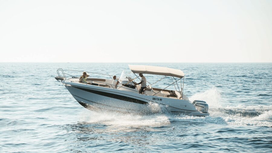 Rovinj: Family Friendly Dolphin Watching Tour - What the guides add to the two-hour trip