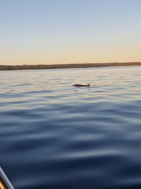 Rovinj: Shared Dolphin and Sunset Tour with Drinks - Booking, flexibility, and practical details