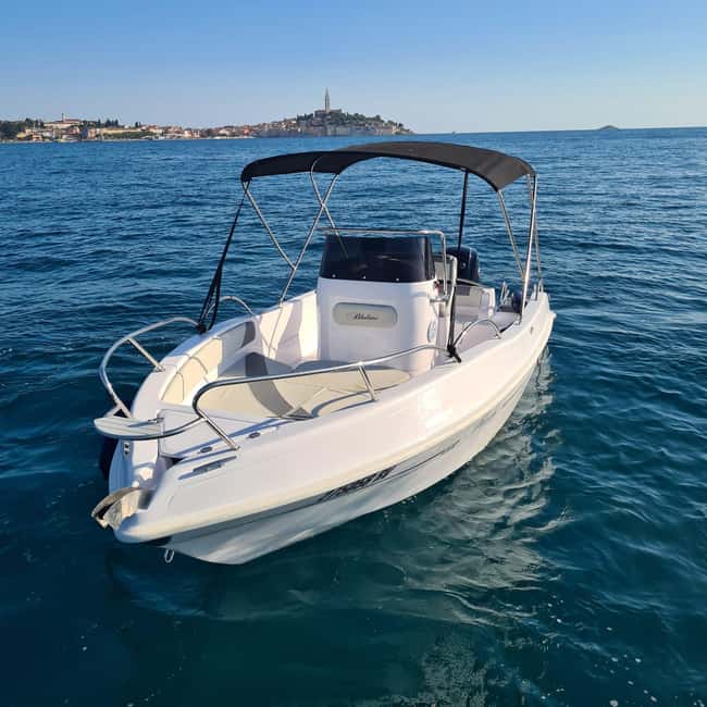 Rovinj: Shared Dolphin and Sunset Tour with Drinks - Who will get the most from this tour