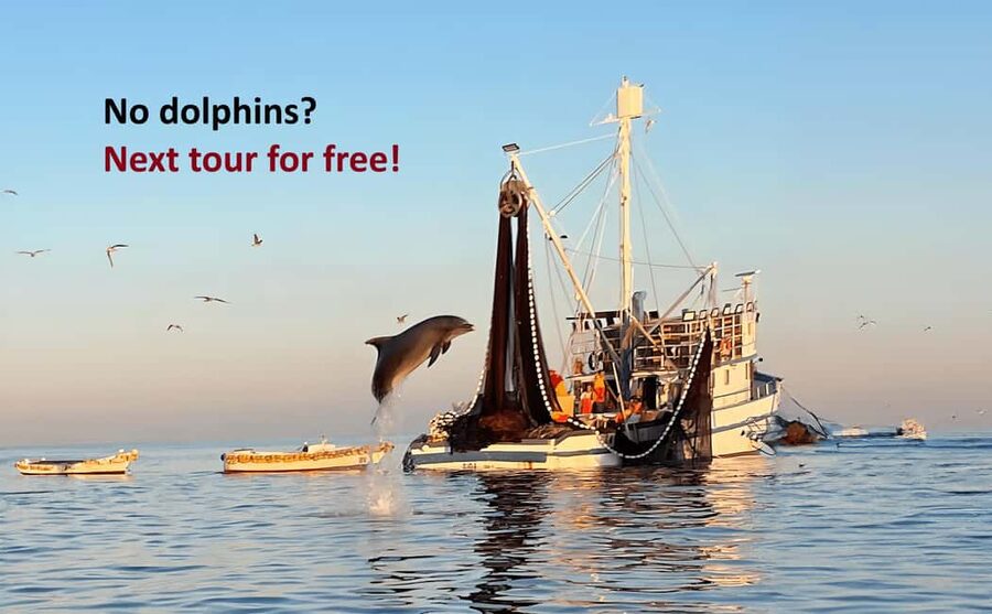 Rovinj: Sunrise Dolphins & Fishermen at Work Speedboat Tour - Key points to know before booking