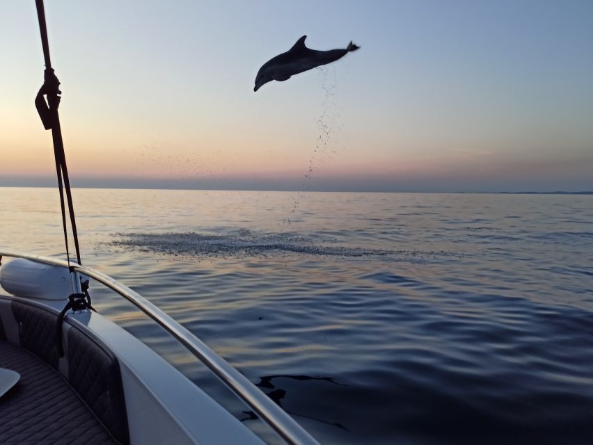 Rovinj: Sunrise Dolphins & Fishermen at Work Speedboat Tour - At the fishing boats: the heart of the tour