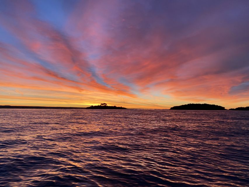 Rovinj: Sunrise Dolphins & Fishermen at Work Speedboat Tour - Who will enjoy this most