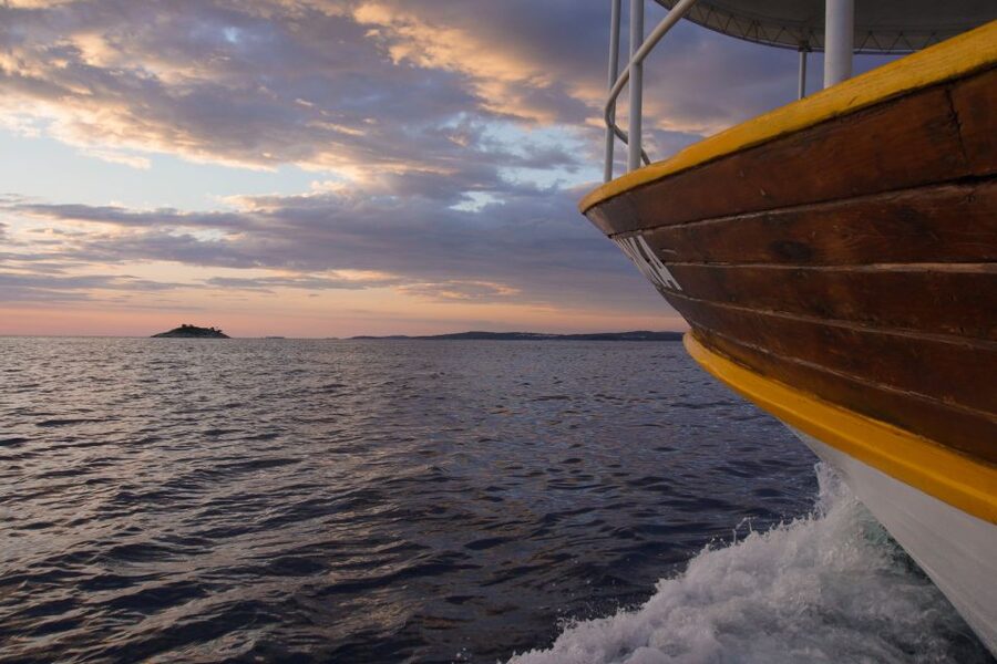 Rovinj: Sunset Boat Trip with Dolphin Watching - Searching for Dolphins in Their Natural Habitat