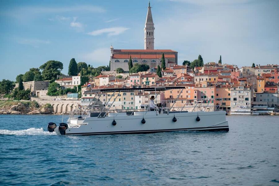 Rovinj: Sunset & dolphin group tours with Catamaran - Key things to know before you book