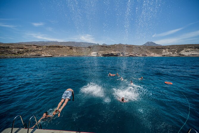 Royal Delfin 3H Dolphin & Whale Watching! Swimming & Lunch! - How Much Value Do You Get for $60.15?