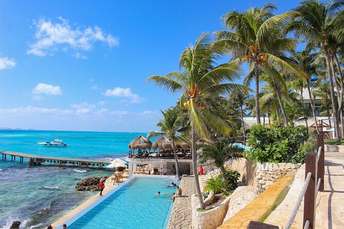 Royal Garragon with Dolphin Encounter in Isla Mujeres - The dolphin encounter needs a clear question