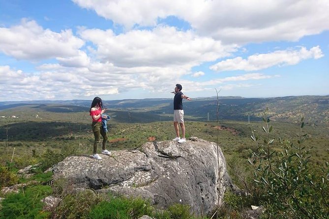 Safari & Boat Tour - Mountains & Dolphins - Key points to know before booking