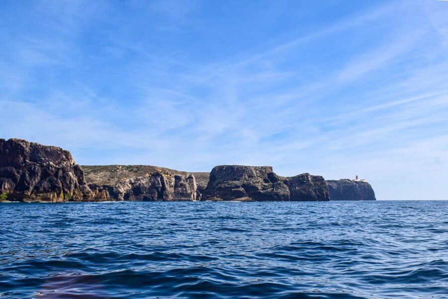 Sagres: Wildlife Tour Dolphins and Caves - Key points to know before you go