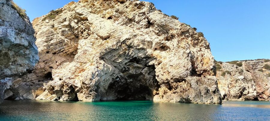 Sagres: Wildlife Tour Dolphins and Caves - Two hours on the water