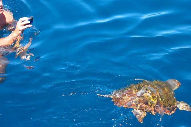 Sailing Boat-always private-always by sail-search for dolphins - The boat setup and why it matters