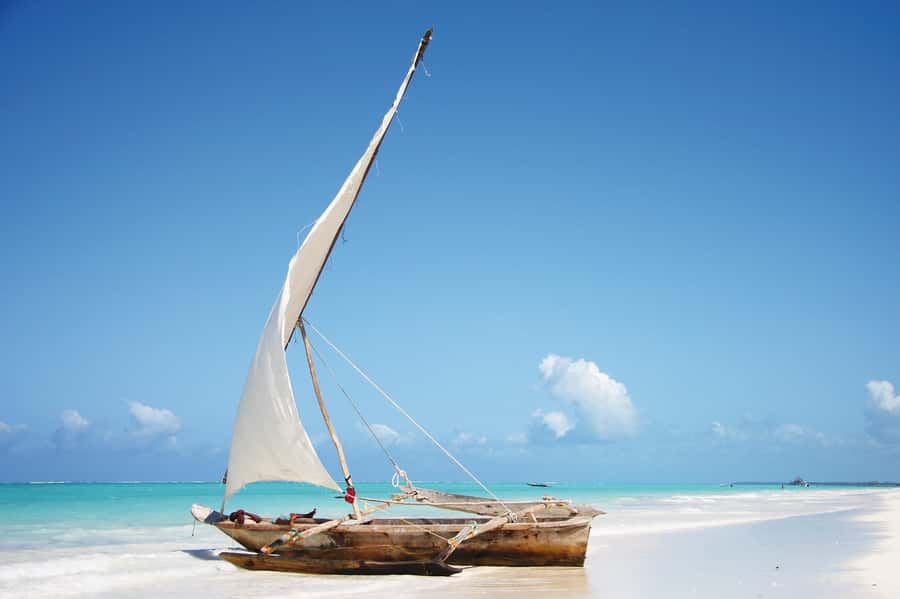 Salaam Cave Tour, Lunch at The Rock, Mnemba Dolphin Tour - Key points to know before booking